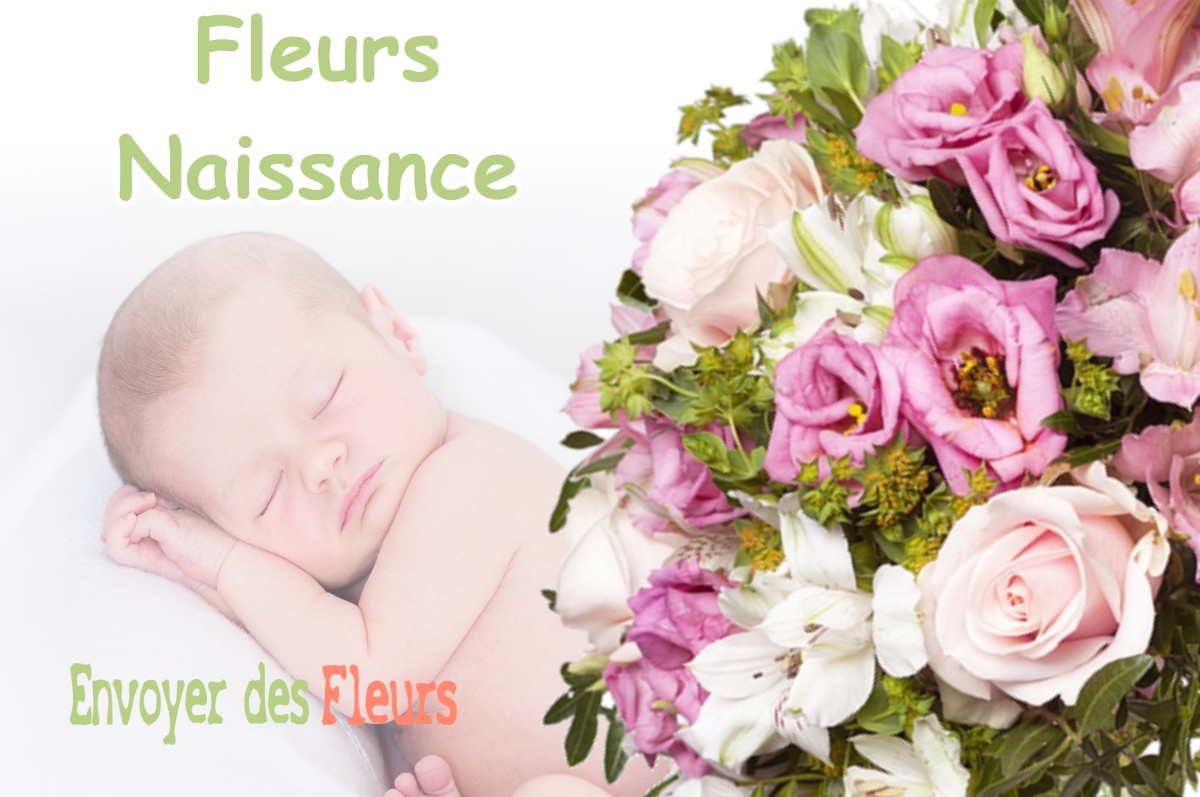 lIVRAISON FLEURS NAISSANCE à LA-CHAPELLE-SUR-AVEYRON